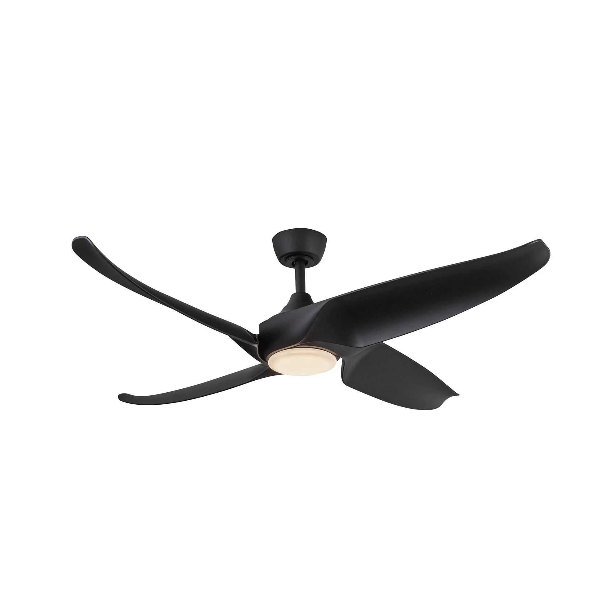 4 Blades - Coronado Fan - Image 2