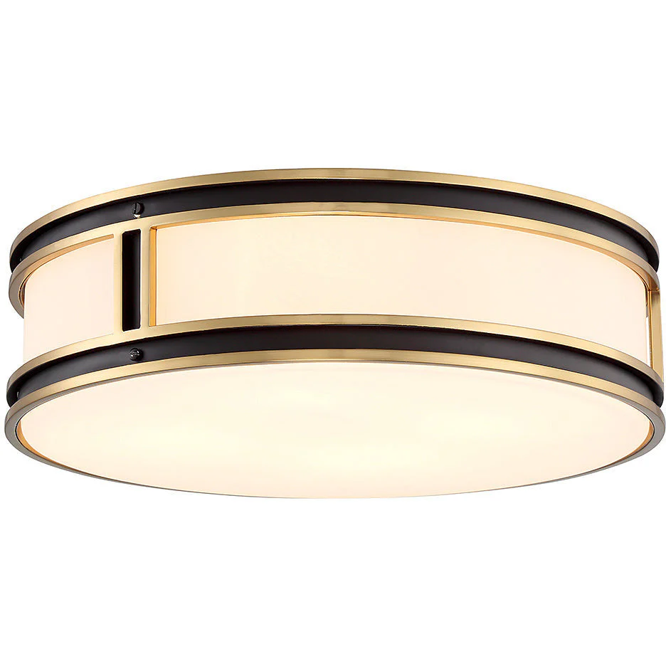Alberti 4-Light Ceiling Light - Image 3