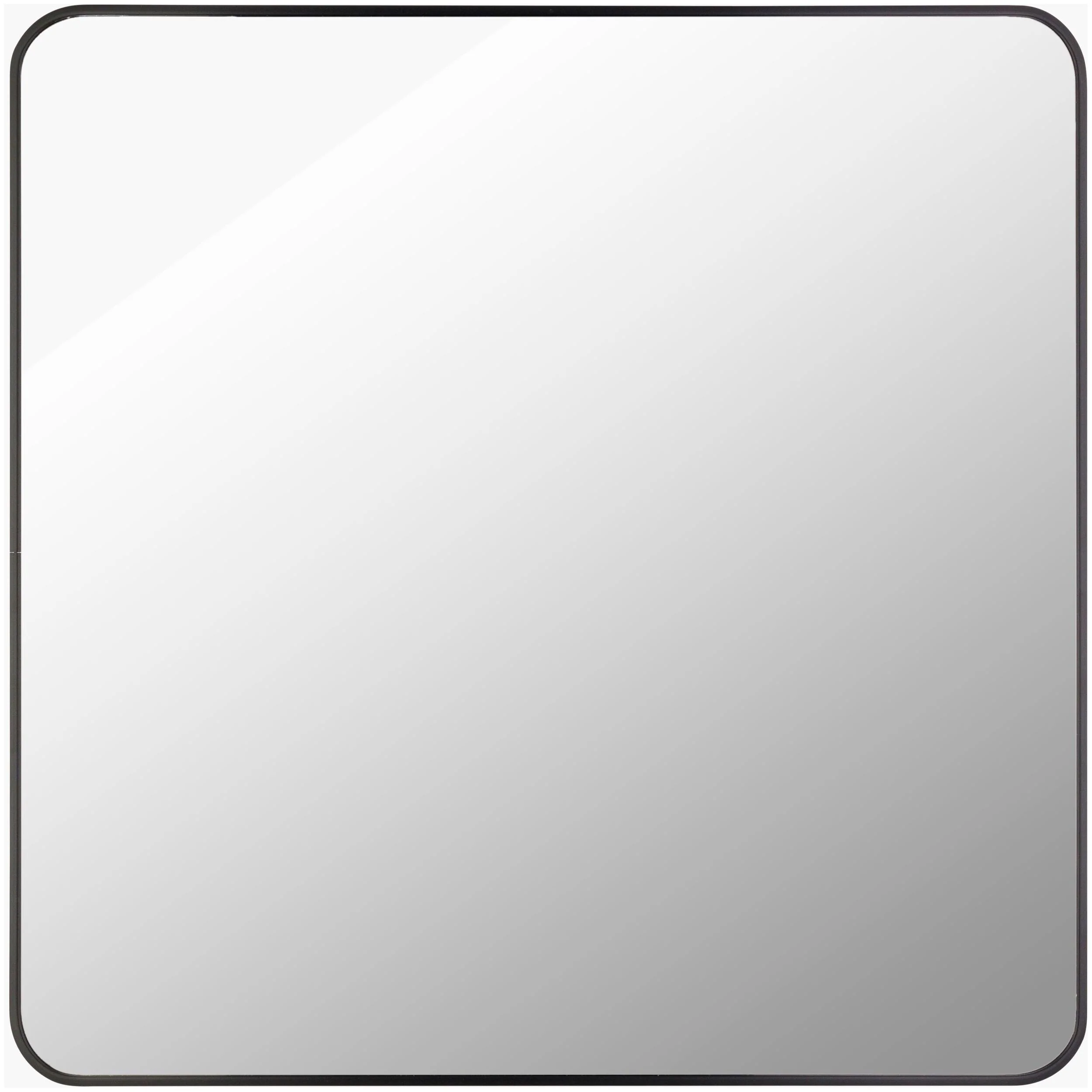 Aranya Accent Mirror | Black