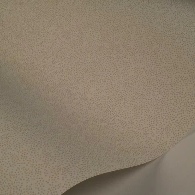 Champagne Dots Wallpaper - Image 24