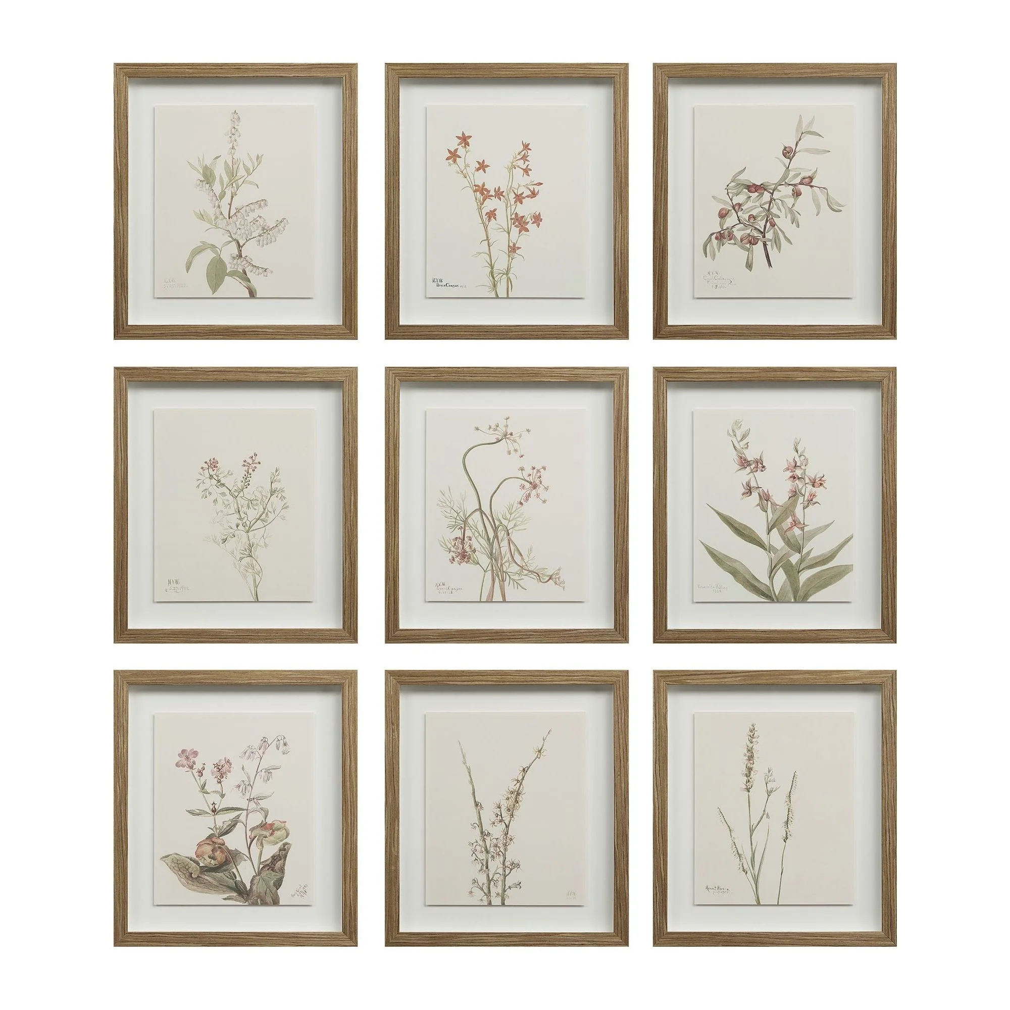 Crema Wall Art (Set of 9)