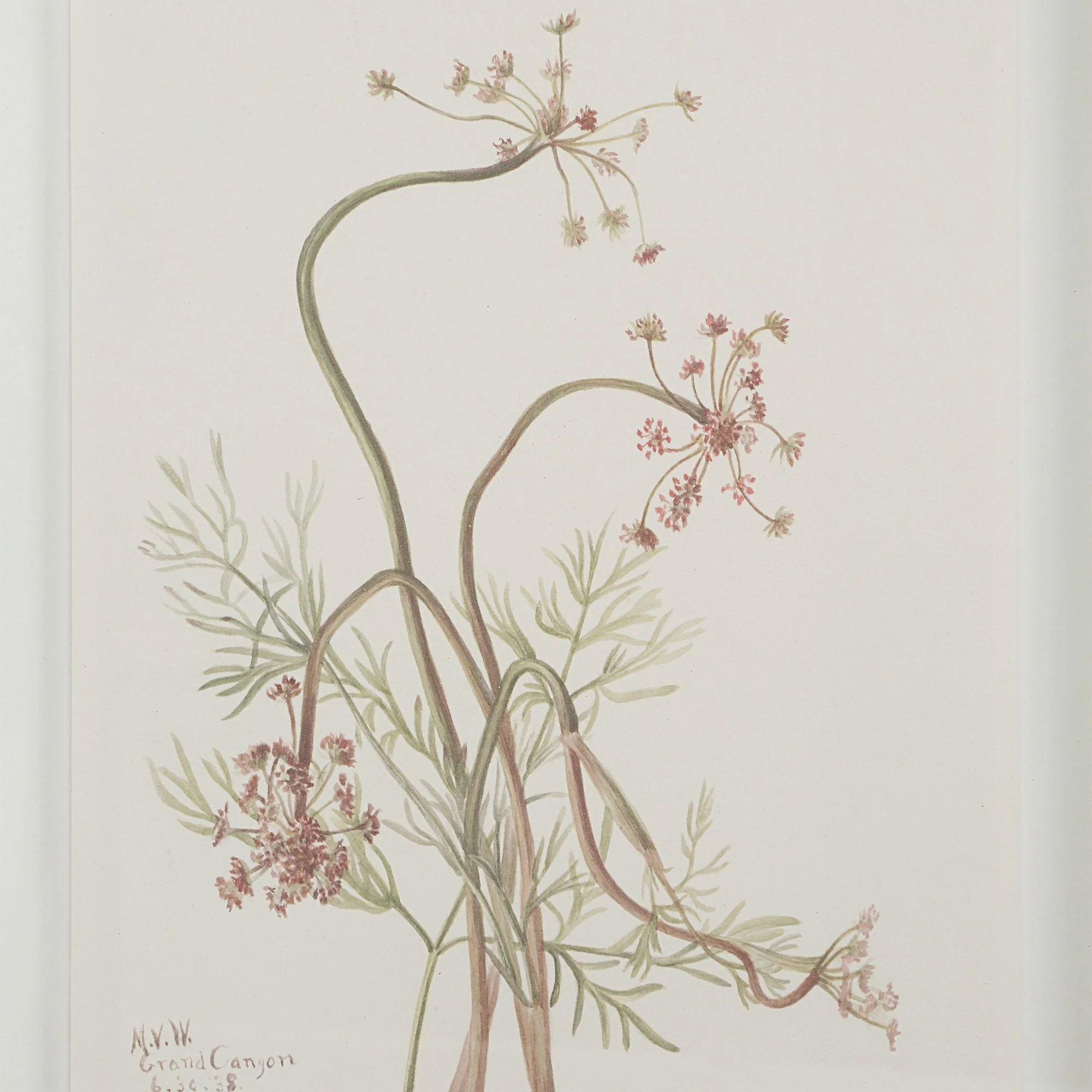 Crema Wall Art (Set of 9) - Image 16