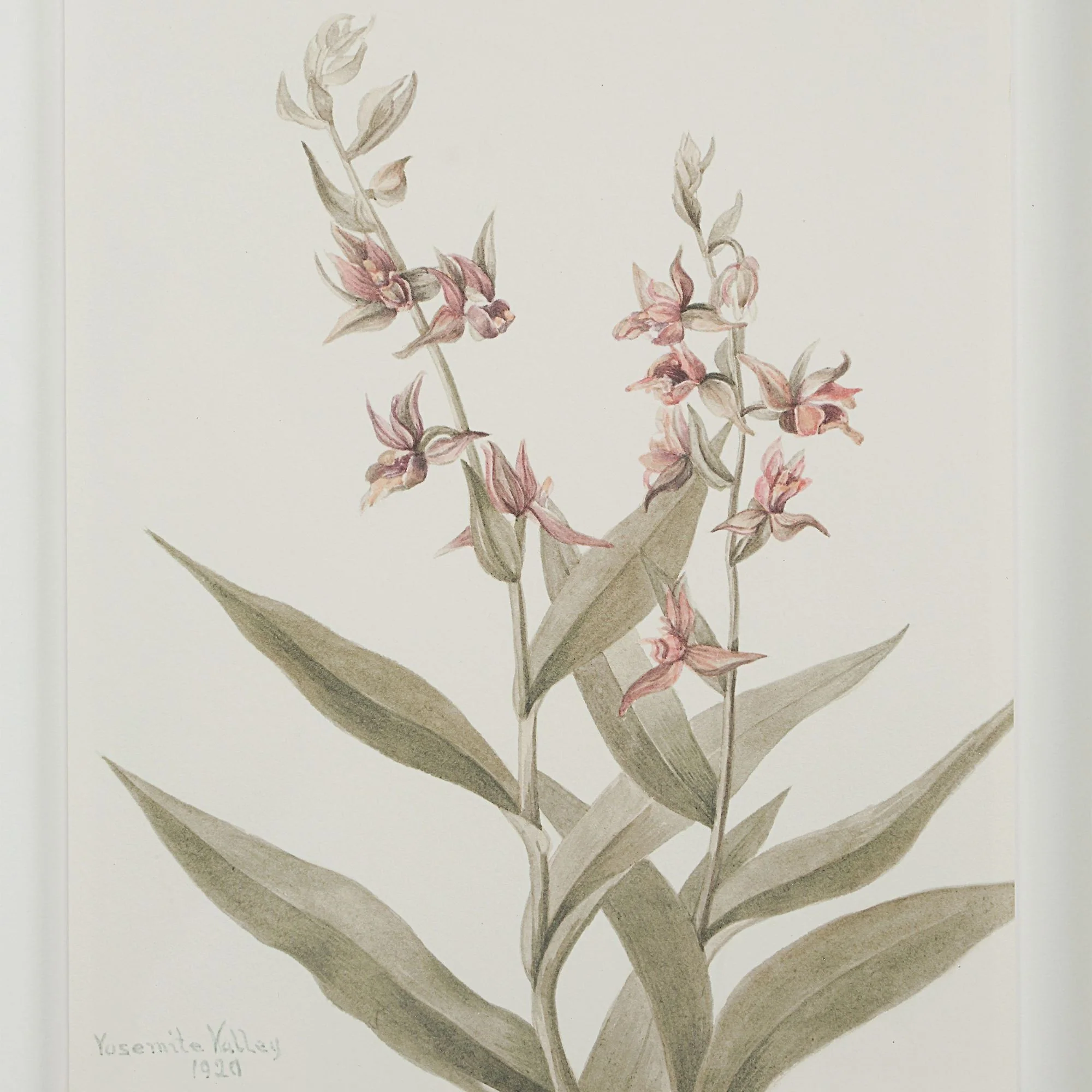 Crema Wall Art (Set of 9) - Image 20