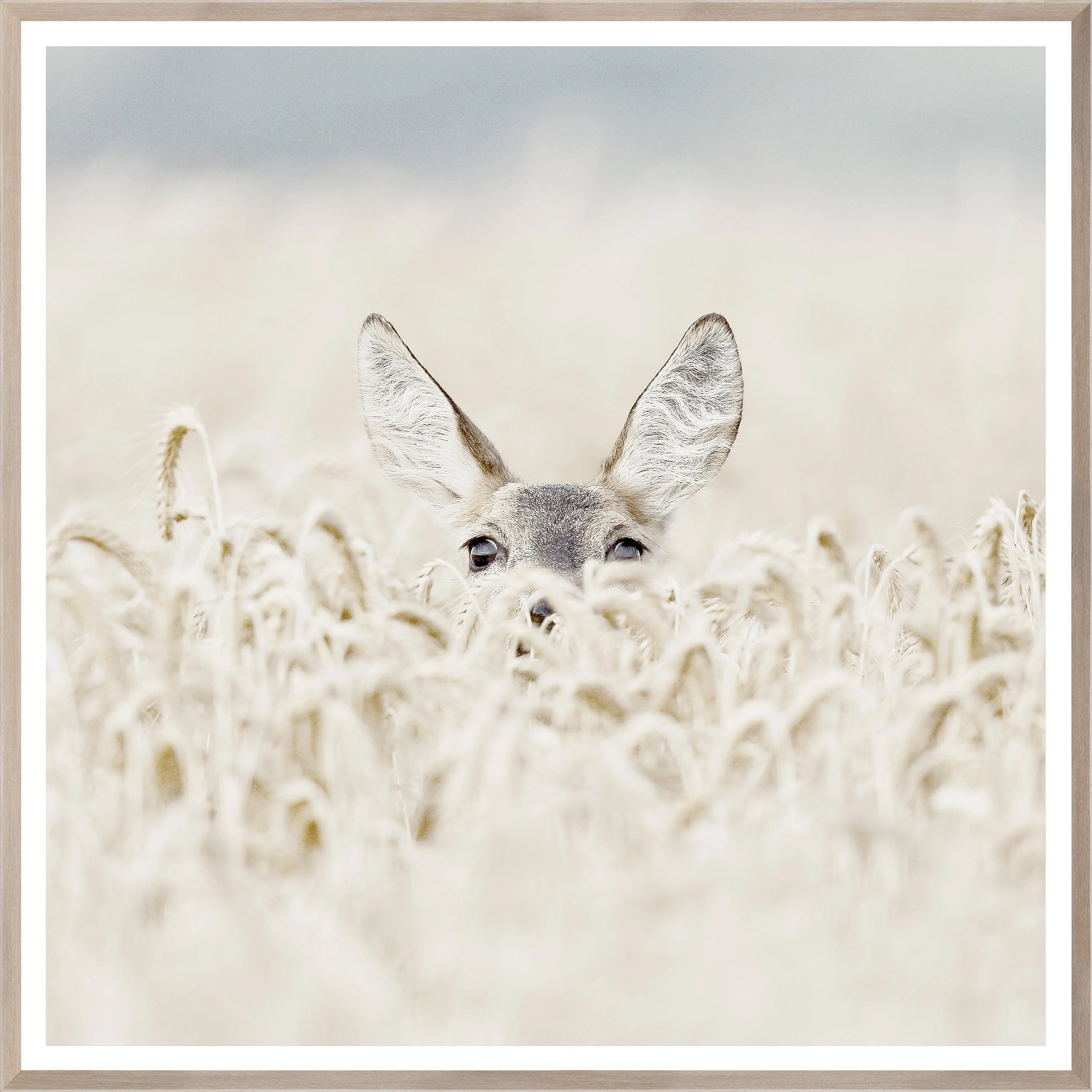 Deerly Beloved