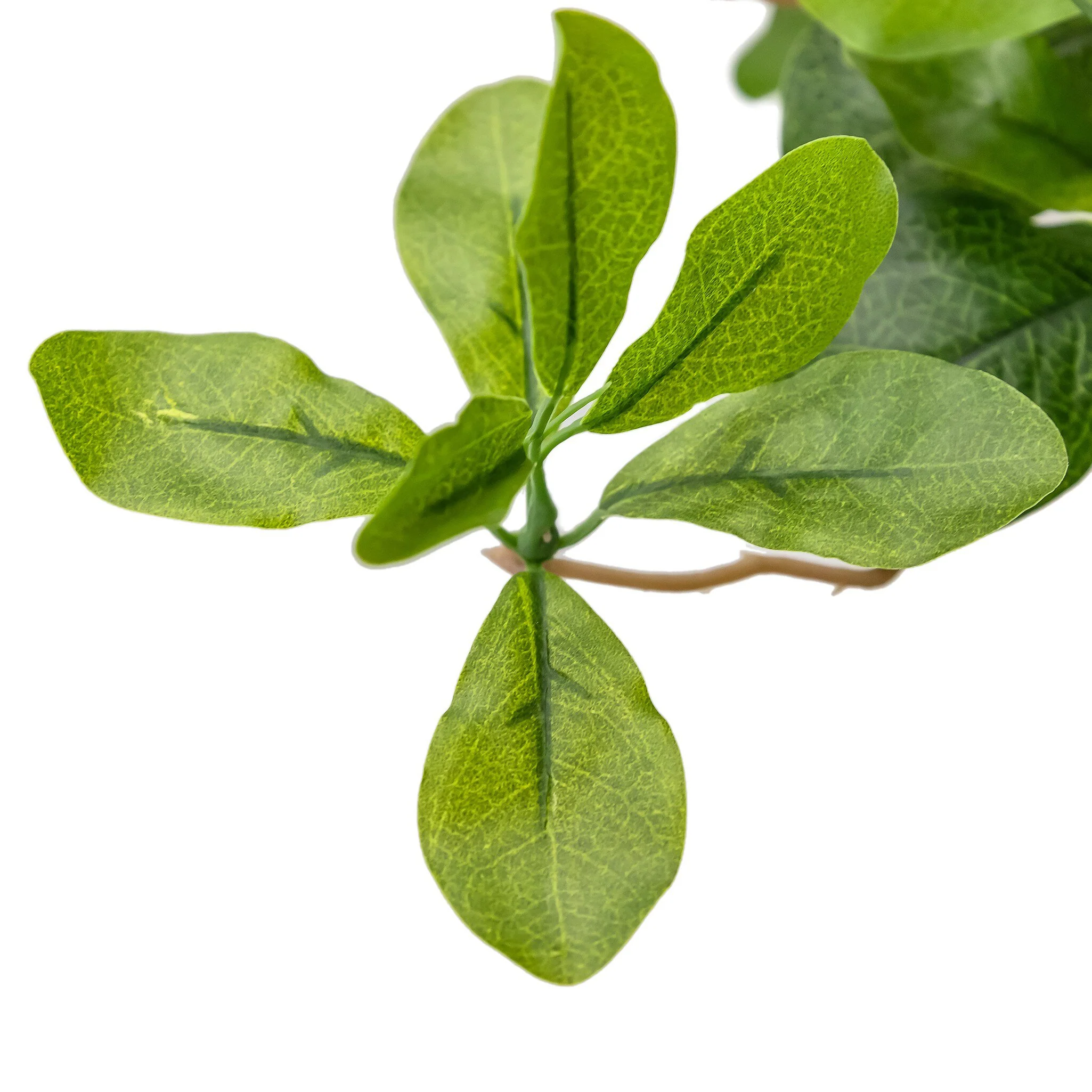 Faux Aralia Tree - Image 5