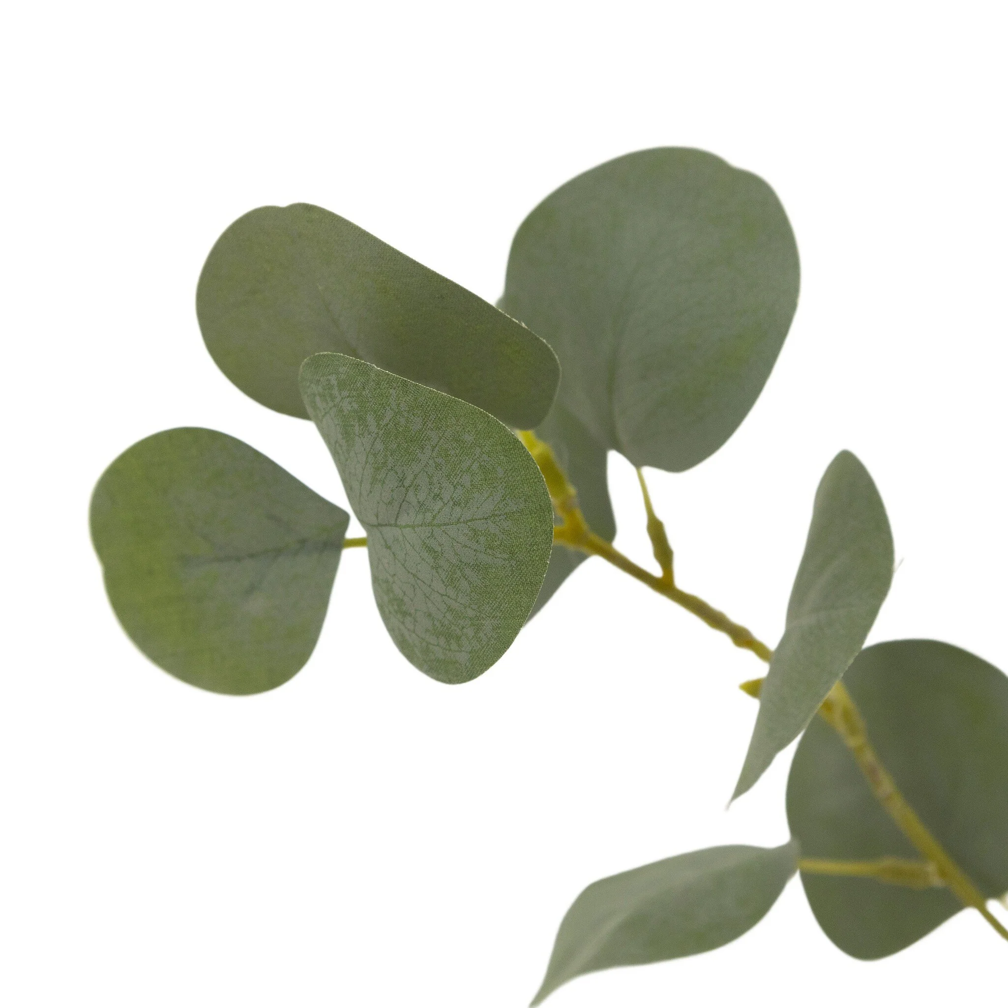 Faux Eucalyptus Tree - Image 7