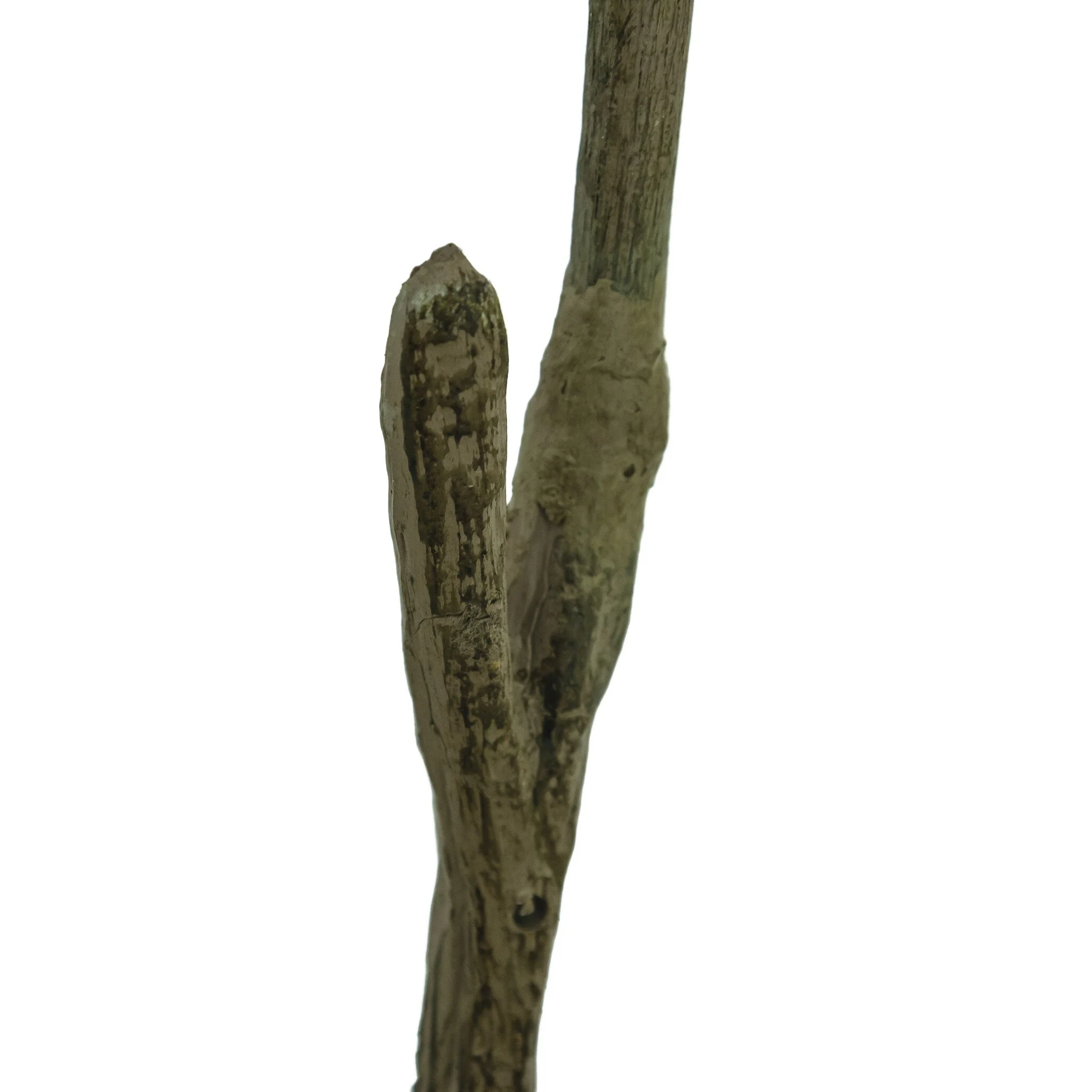 Faux Pieris Tree - Image 3