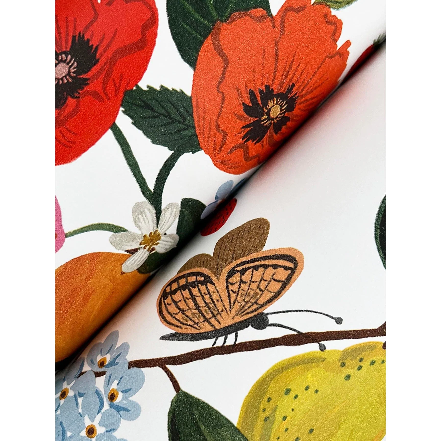Flower Studies Wallpaper - Image 10