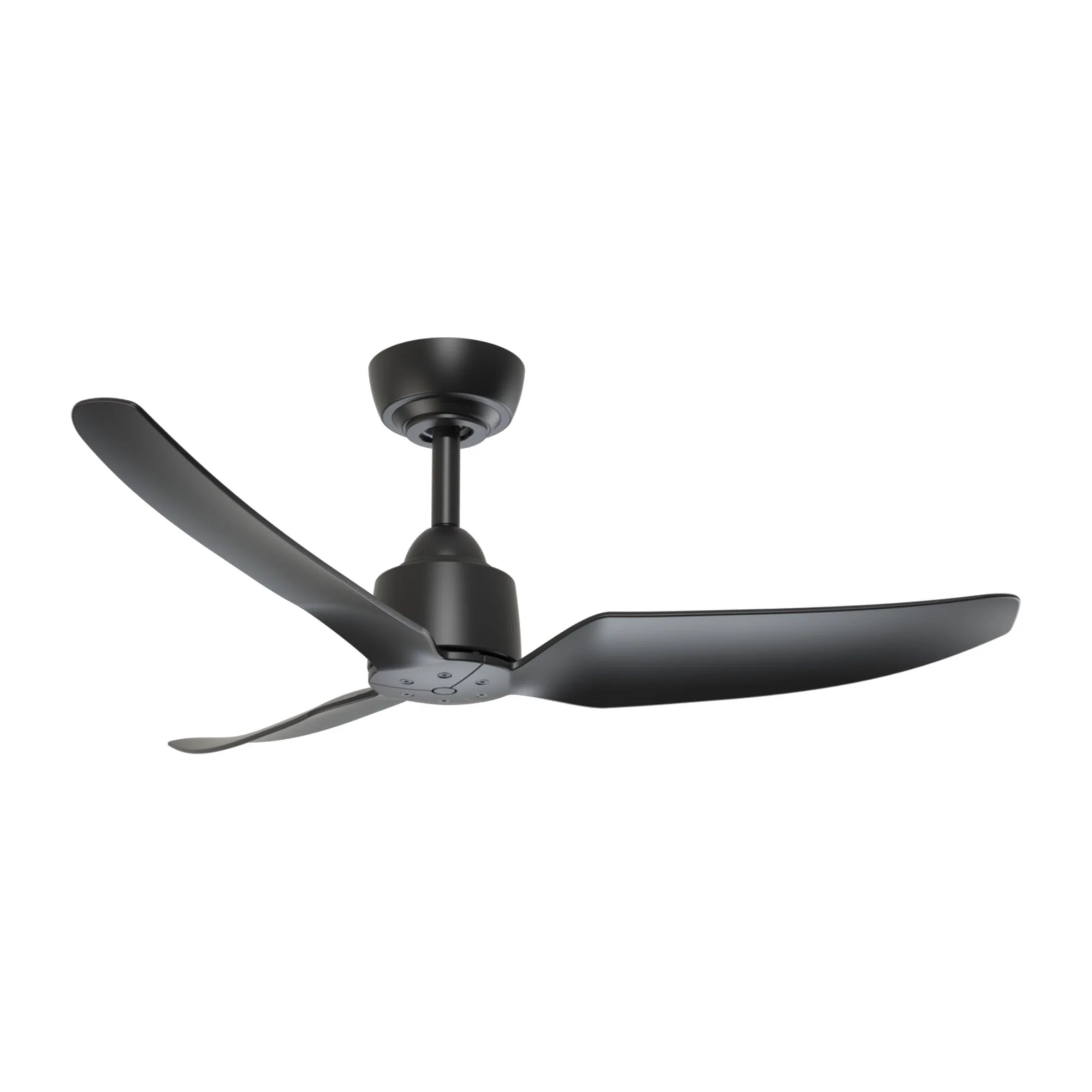 Hugo Fan - Image 13
