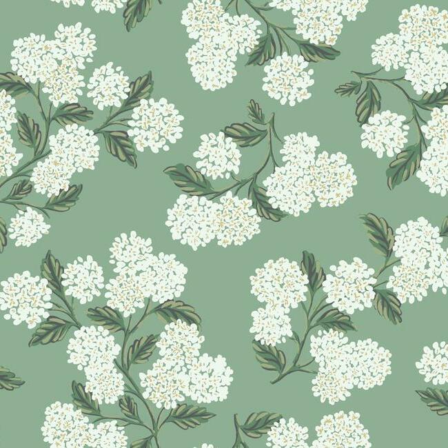 Hydrangea Wallpaper - Image 16