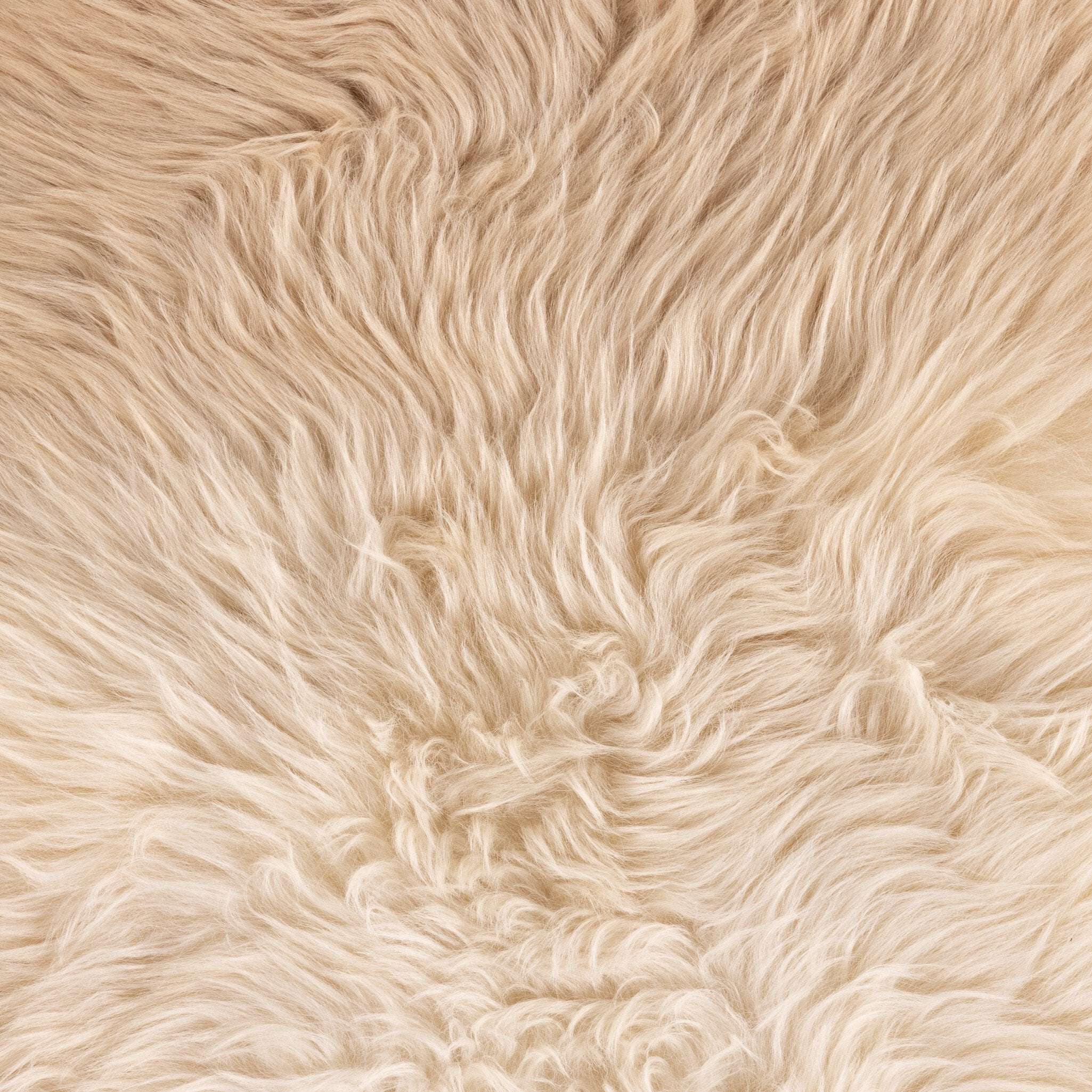 Lalo Ombre Throw - Image 6