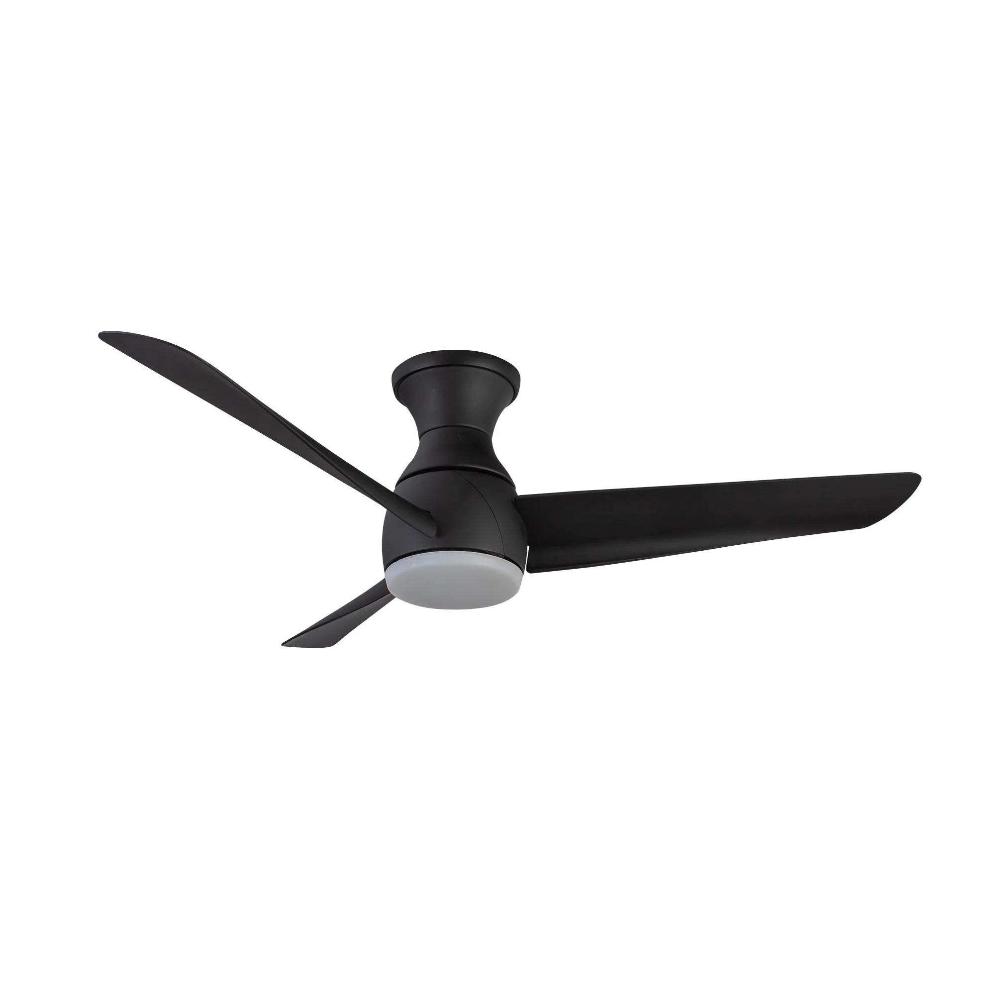 Low Profile - Thalia Fan - Image 17