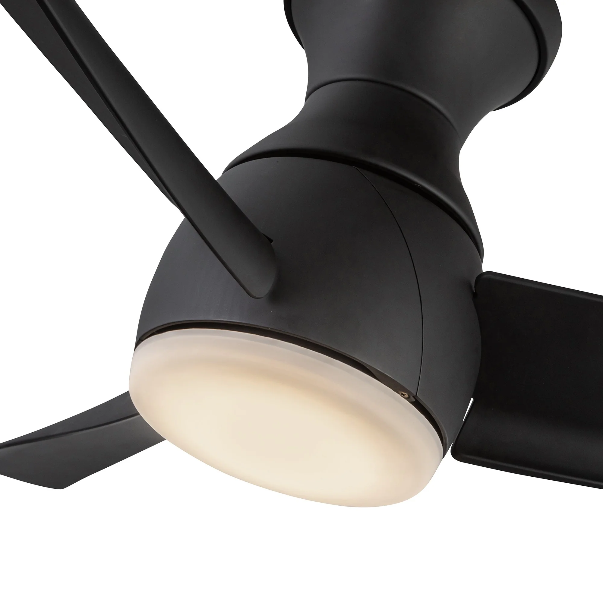 Low Profile - Thalia Fan - Image 22