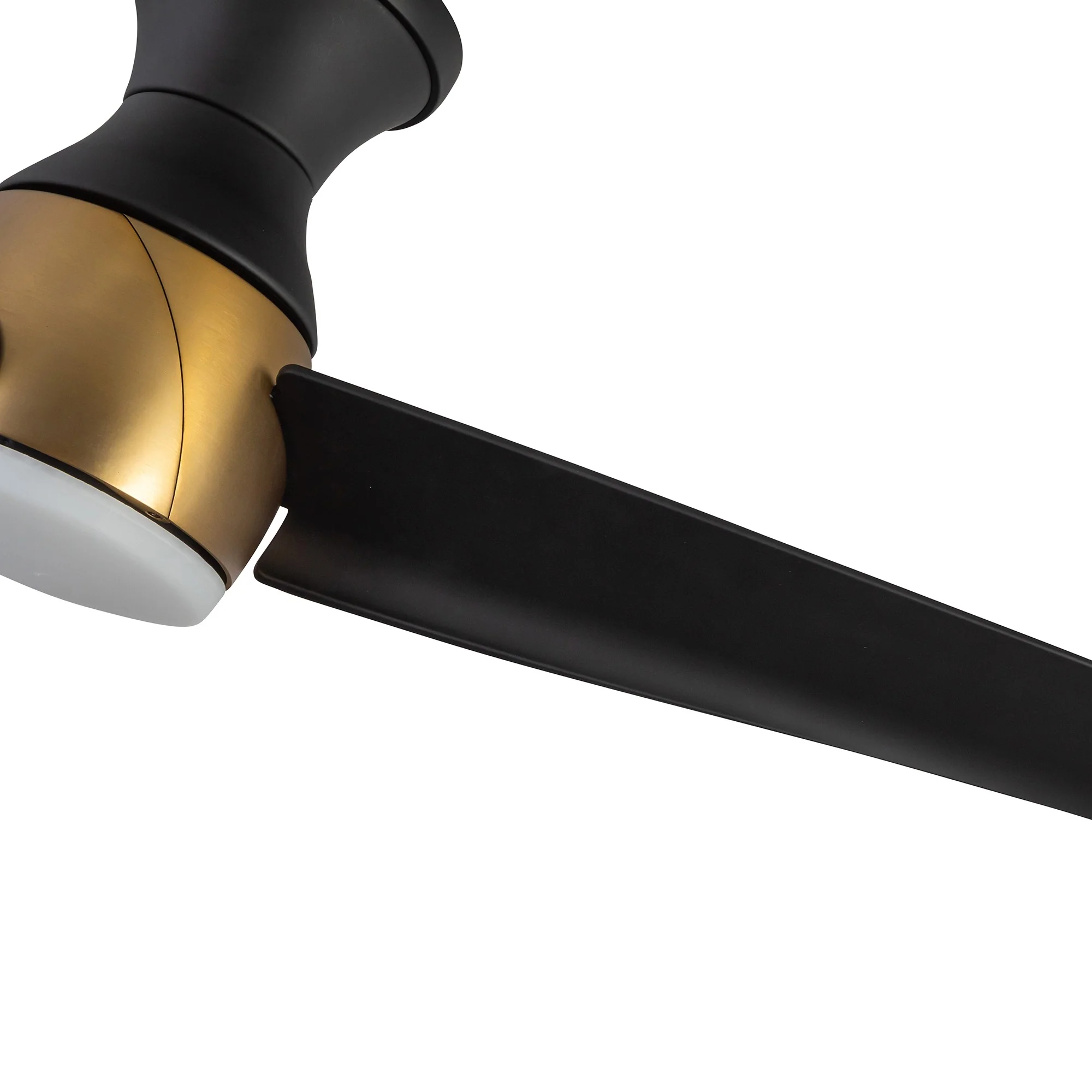 Low Profile - Thalia Fan - Image 8