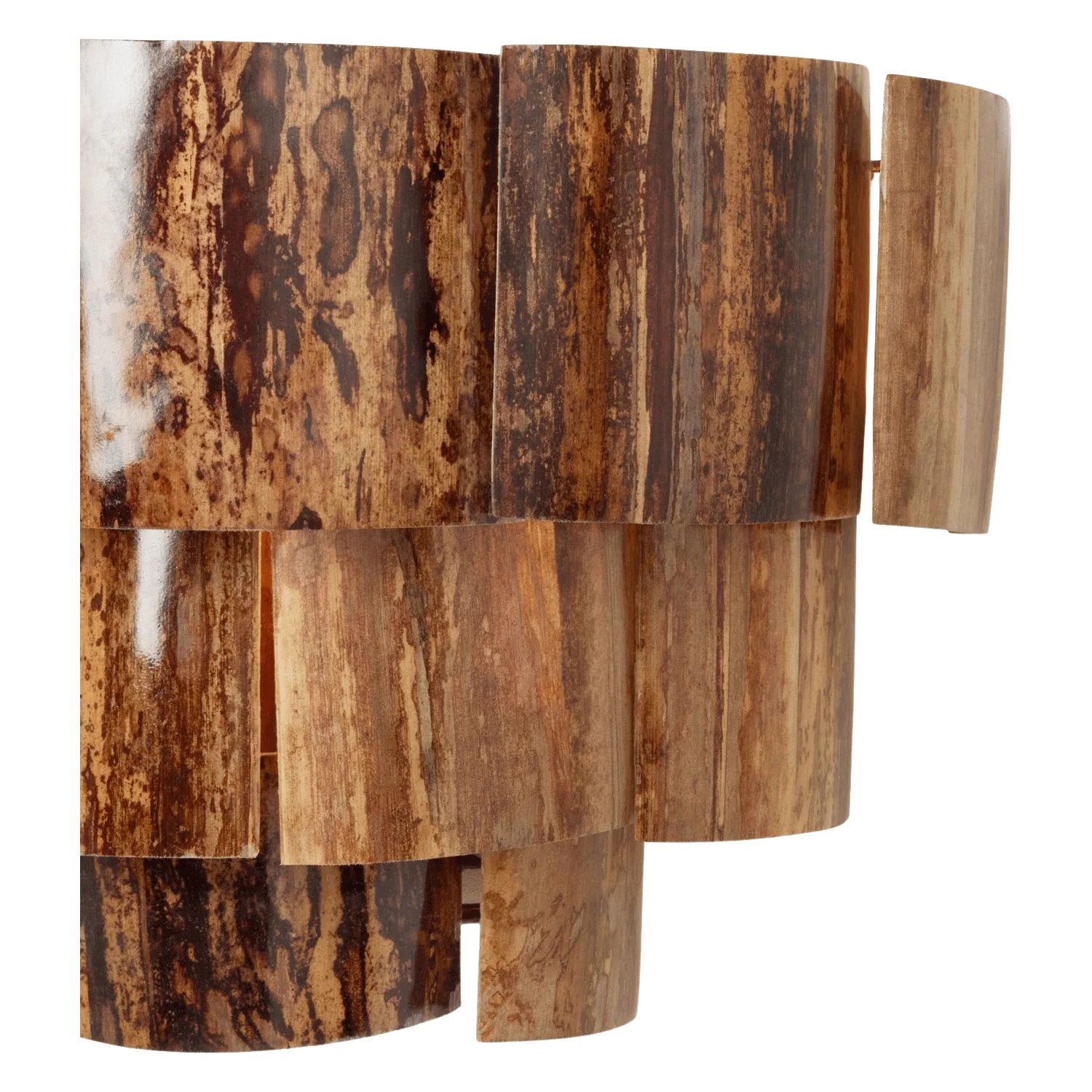 Marjorie Sconce - Image 6