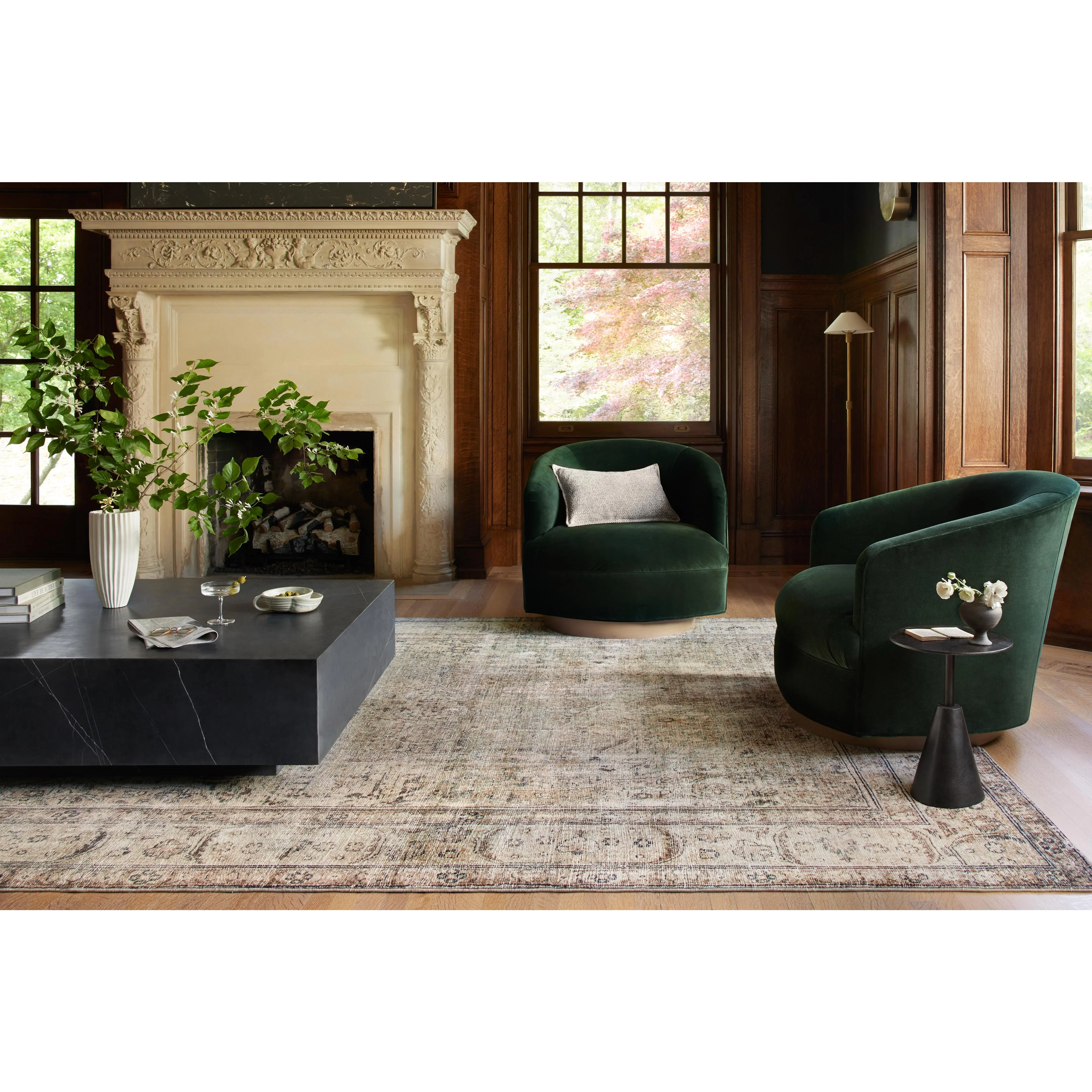Margot Antique / Sage Rug - Image 4