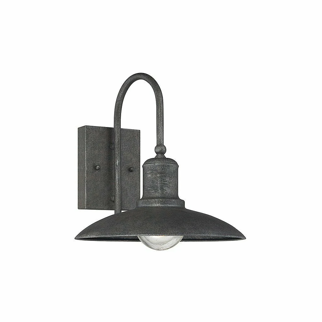 Mica 1-Light Outdoor Wall Lantern in Artisan Rust