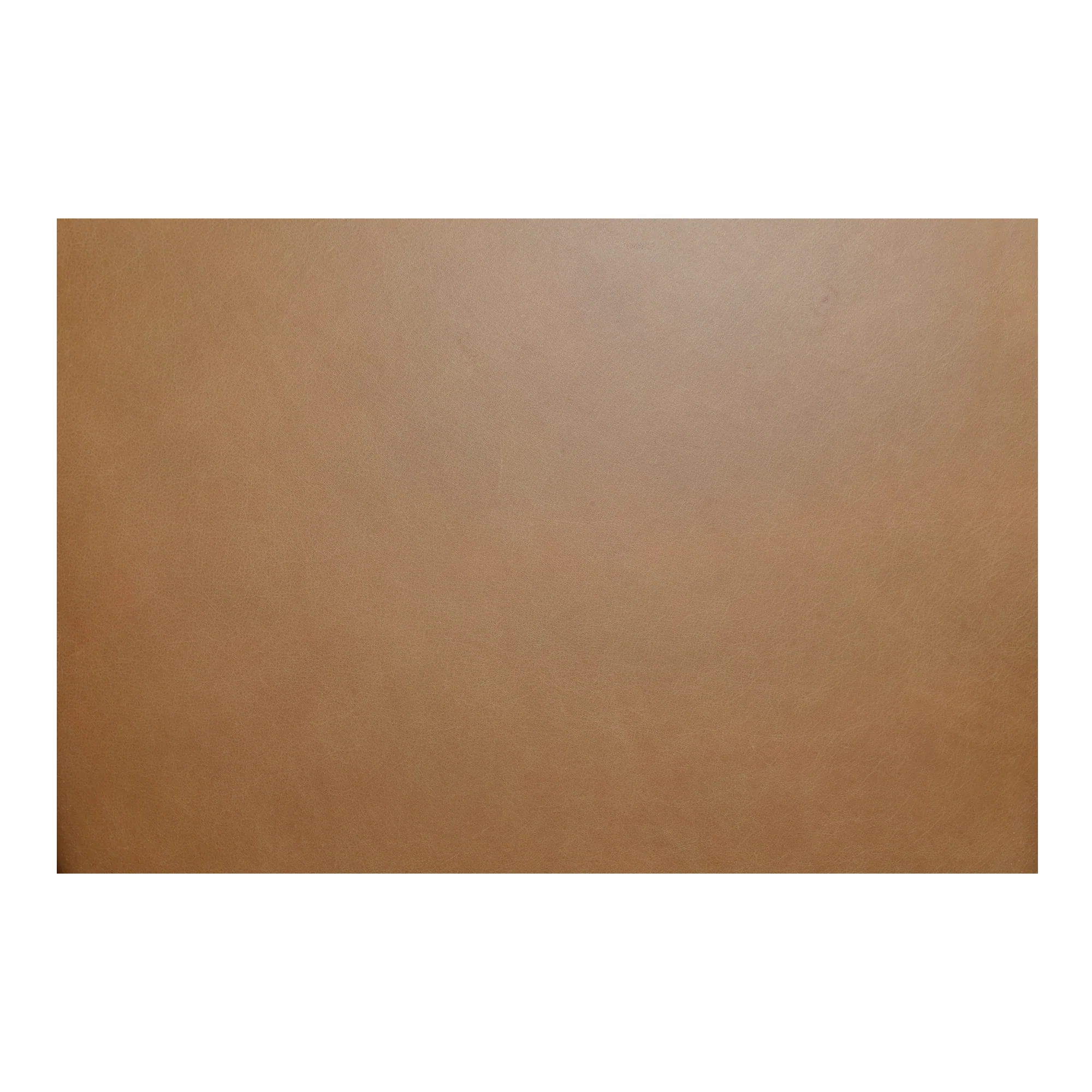 Norrie Dining Chair - Image 6