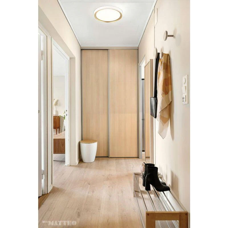 Oculus Flush Mount - Image 2