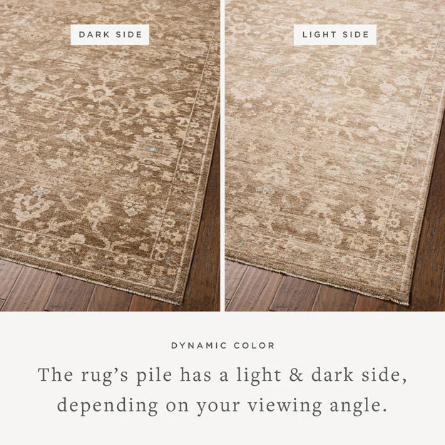 Palma Brown / Earth Rug |  Chris Loves Julia x Loloi - Image 3