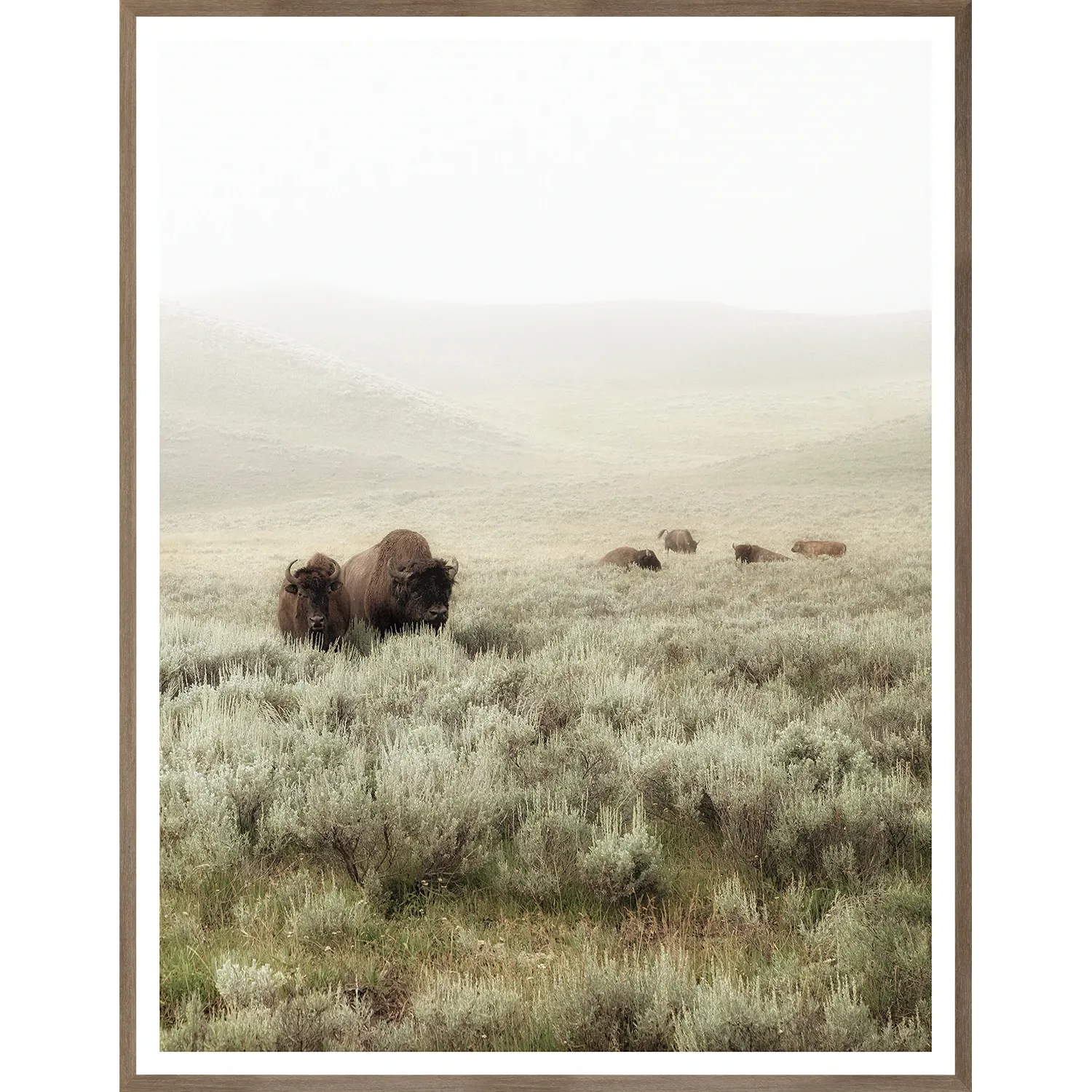 Sagebrush Hills – II