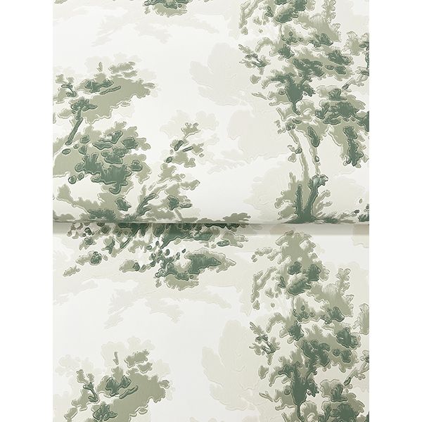 Sainsbury Forest Wallpaper - Image 17