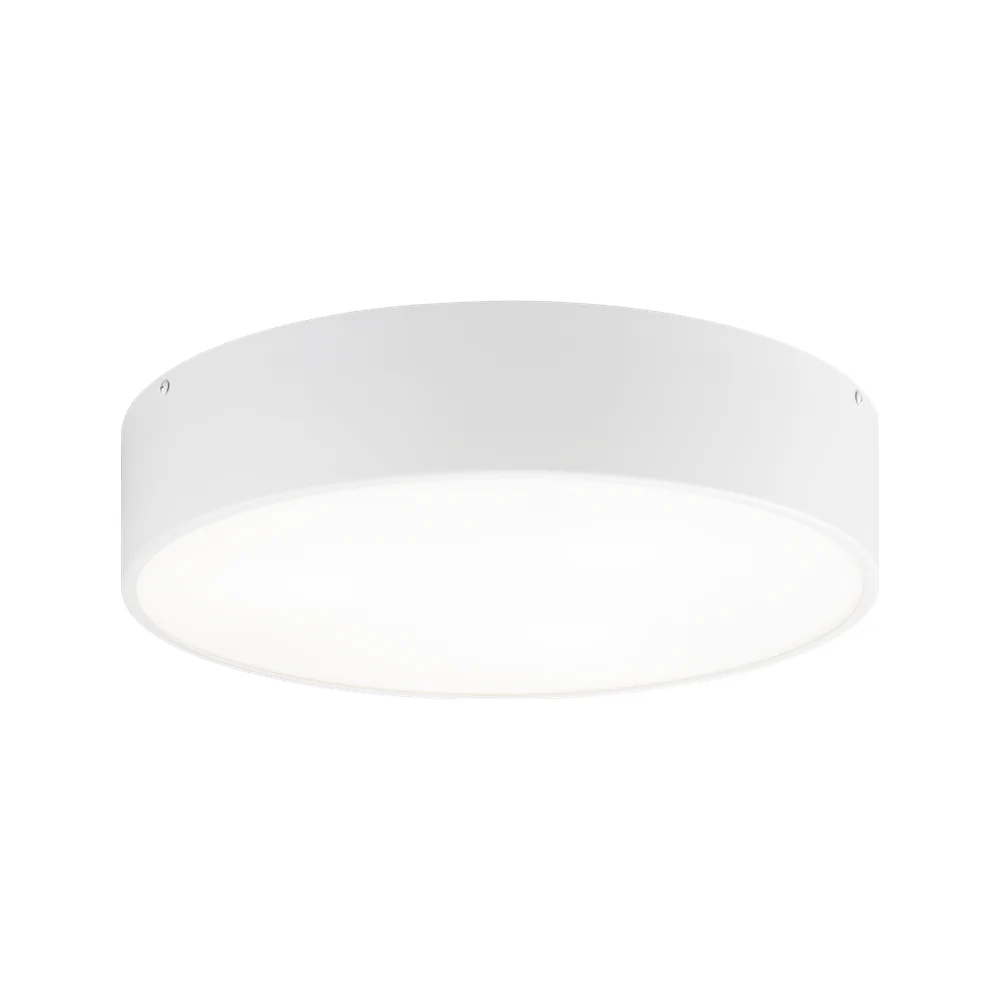 Snare Flush Mount - Image 4