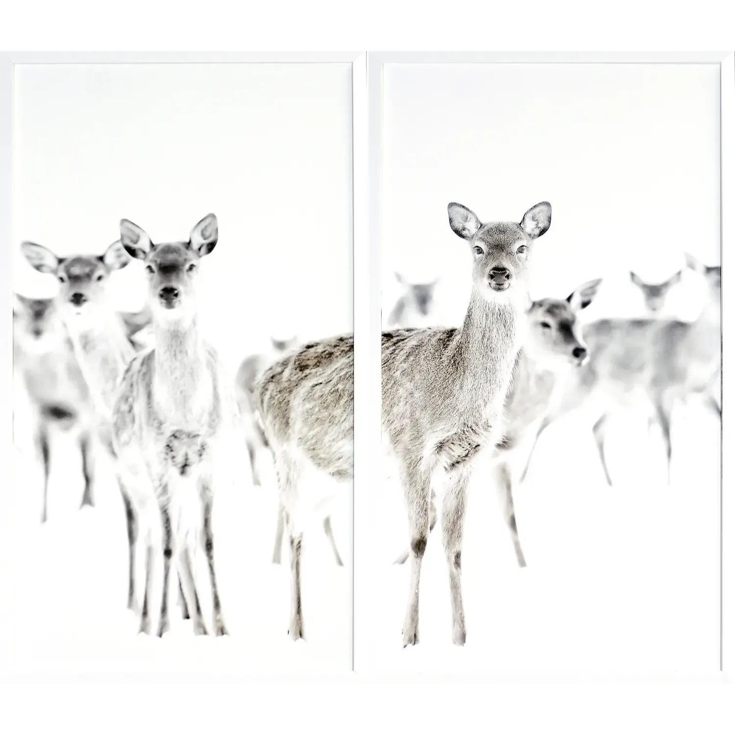 Surveillance / Diptych Large Frame
