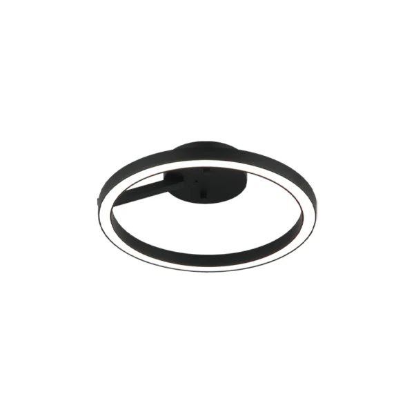 Trundle Flush Mount - Image 5