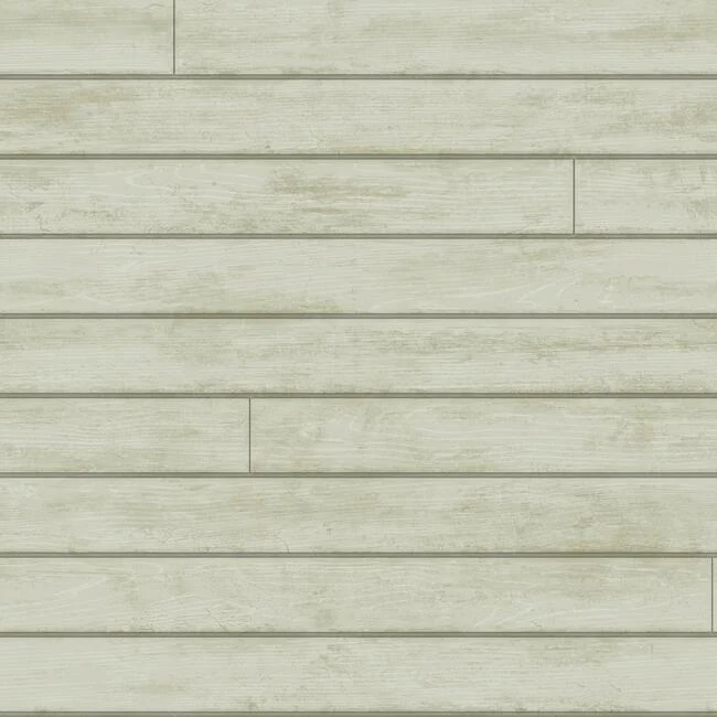 Skinnylap Wallpaper - Image 4