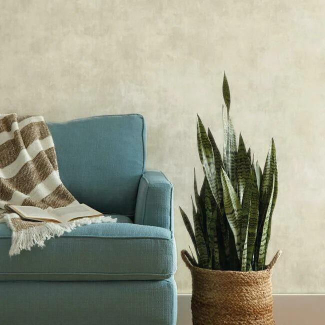 Plaster Finish Wallpaper - Image 6