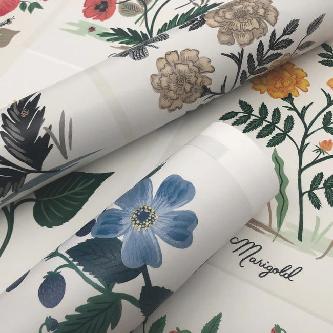 Botanical Prints Wallpaper - Image 12